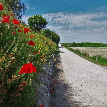 Le Galet Bleu Apartment