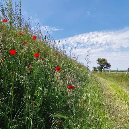 Apartment Le Galet Bleu *