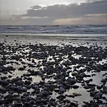 Le Galet Bleu * Criel-sur-Mer