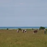 Le Galet Bleu *