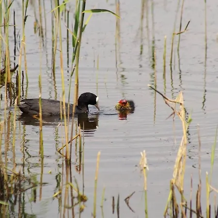 Apartmán Le Galet Bleu