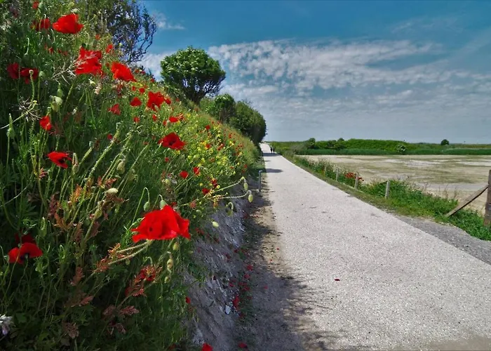 Le Galet Bleu Apartament