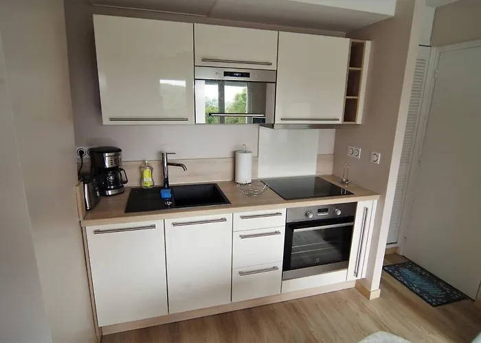 Apartament Le Galet Bleu *