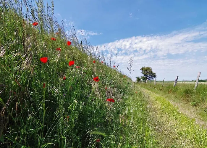 Apartament Le Galet Bleu *